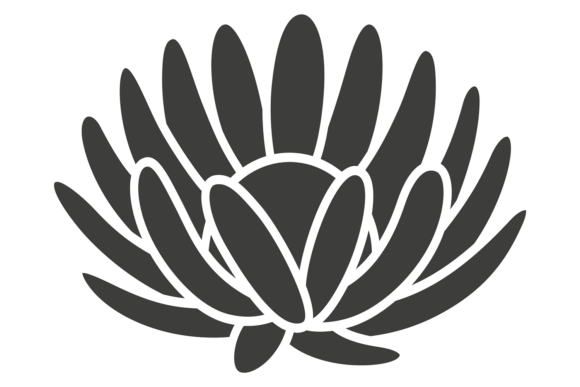 The Decorative Lotus Shape: A Symbol of Purity and Growth